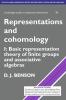 Representations and Cohomology