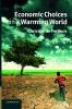 Economic Choices in a Warming World