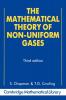 The Mathematical Theory of Non-Uniform Gases