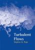 Turbulent Flows