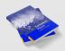 Turbulent Flows
