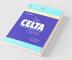 The CELTA Course Trainer's Manual