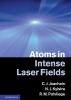 Atoms in Intense Laser Fields