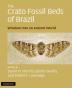 The Crato Fossil Beds of Brazil