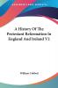 A History Of The Protestant Reformation In England And Ireland V2