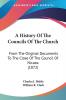 A History Of The Councils Of The Church: From the Original Documents to the Close of the Council of Nicaea: From The Original Documents To The Close Of The Council Of Nicaea (1872)