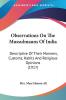 Observations On The Mussulmauns Of India: Descriptive of Their Manners Customs Habits and Religious Opinions: Descriptive Of Their Manners Customs Habits And Religious Opinions (1917)