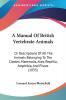 A Manual Of British Vertebrate Animals: Or Descriptions of All the Animals Belonging to the Classes Mammalia Aves Reptilia Amphibia and Pisces: ... Aves Reptilia Amphibia And Pisces (1835)