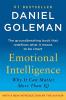 Emotional Intelligence Why It Can Matter More Than IQ