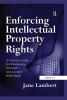 Enforcing Intellectual Property Rights