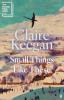 Small Things Like These (LEAD): Shortlisted for the Rathbones Folio Prize