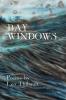 Bay Windows: The Land - The Sea - Beyond