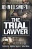 The Trial Lawyer: 9 (Thaddeus Murfee Legal Thrillers)