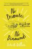 No Pressure No Diamonds: Mining for Gifts in Illness and Loss