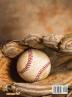 A View from the Dugout: The History of University of Tulsa Baseball