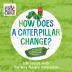 How Does a Caterpillar Change?