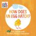 How Does an Egg Hatch?