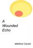 A Wounded Echo