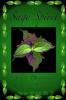 Sage Spirit - Salvia Divinorum and the Entheogenic Experience