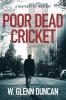 Poor Dead Cricket: A Rafferty P.I. Mystery: 3 (Rafferty: Hardboiled P.I.)