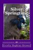 Silver Springtime: 1 (Silver Springs University)