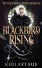 Blackbird Rising: 1 (The Witch King's Crown)