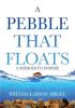 A Pebble That Floats: A Memoir to Inspire