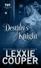 Destiny's Knight: 1 (Guarded Souls)