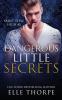 Dangerous Little Secrets: A Reverse Harem Bully Romance