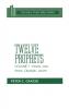 Twelve Prophets Vol 1 H/B Dsb: Hosea Joel Amos Obadiah and Jonah (Daily Study Bible Series)