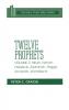 Twelve Prophets Vol 2 H/B Dsb: Micah Nahum Habakkuk Zephaniah Haggai Zechariah and Malachi (Daily Study Bible Series)