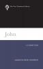 John (NTL): A Commentary (New Testament Library)