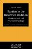 Baptism in the Reformed Tradition: An Historical and Practical Theology (Columbia Series in Reformed Theology)