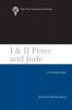 I & II Peter and Jude: A Commentary (New Testament Library)