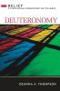 Deuteronomy (Belief: A Theological Commentary on the Bible)