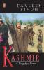 Kashmir: A Tragedy Of Errors