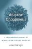 Adaptive Oncogenesis