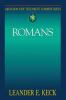 Romans (Abingdon New Testament Commentaries)