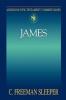 James (Abingdon New Testament Studies)