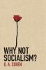 Why Not Socialism?