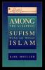 Among The Sleeping: Sufism Within And Without Islam