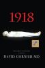 1918: The Great Pandemic A Novel