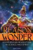 Reason and Wonder: A Copernican Revolution in Science and Spirit