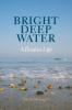 Bright Deep Water: A Boston Life