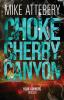 Chokecherry Canyon: 1 (Four Corners Thrillers)