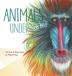 Animals Under the Bed! (Magical Animals)