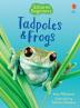 TADPOLES AND FROGS