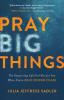 Pray Big Things – The Surprising Life God Has for You When You`re Bold Enough to Ask