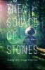 The Solace of Stones: Finding a Way through Wilderness (American Lives)