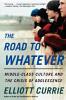 The Road to Whatever: Middle-Class Culture and the Crisis of Adolescence